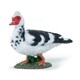 image 1 of PAPO Farmyard Friends Domestic Muscovy Duck Toy Figure