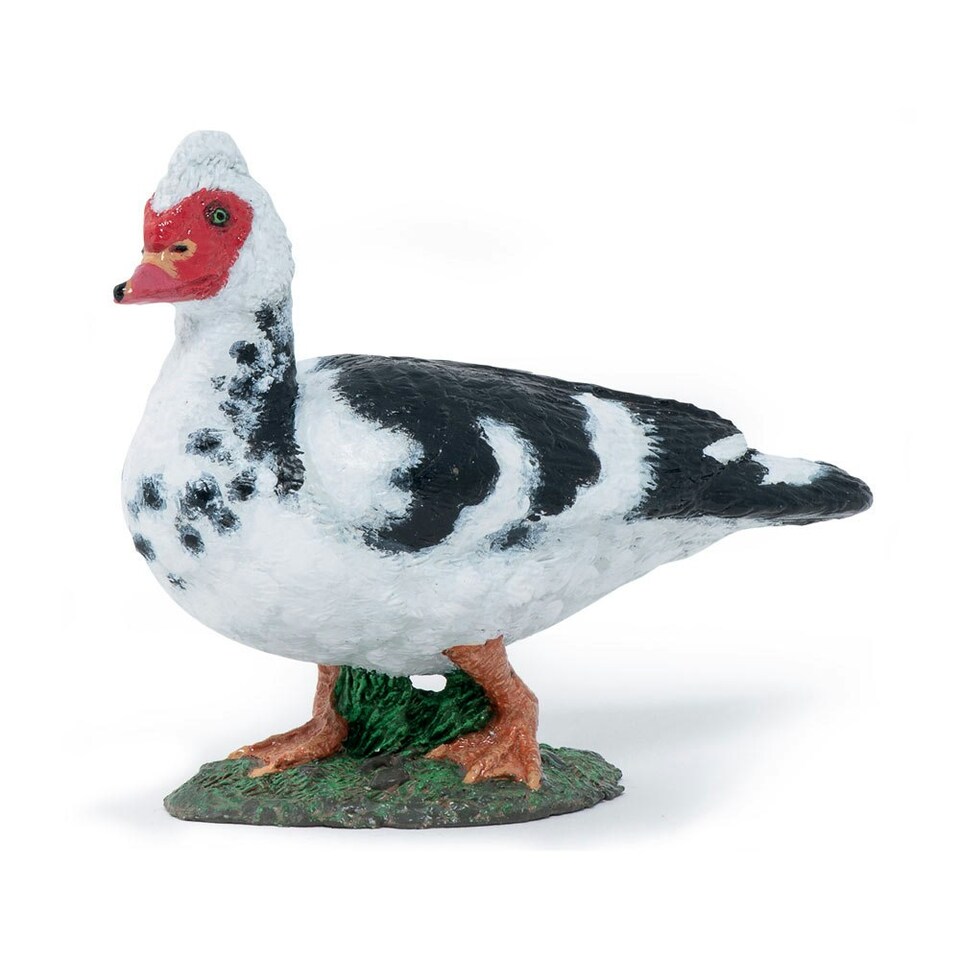 image 1 of PAPO Farmyard Friends Domestic Muscovy Duck Toy Figure