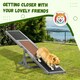 image 5 of PawHut Wooden Pet Seesaw for Big Dogs with Anti-Slip Surface, Grey