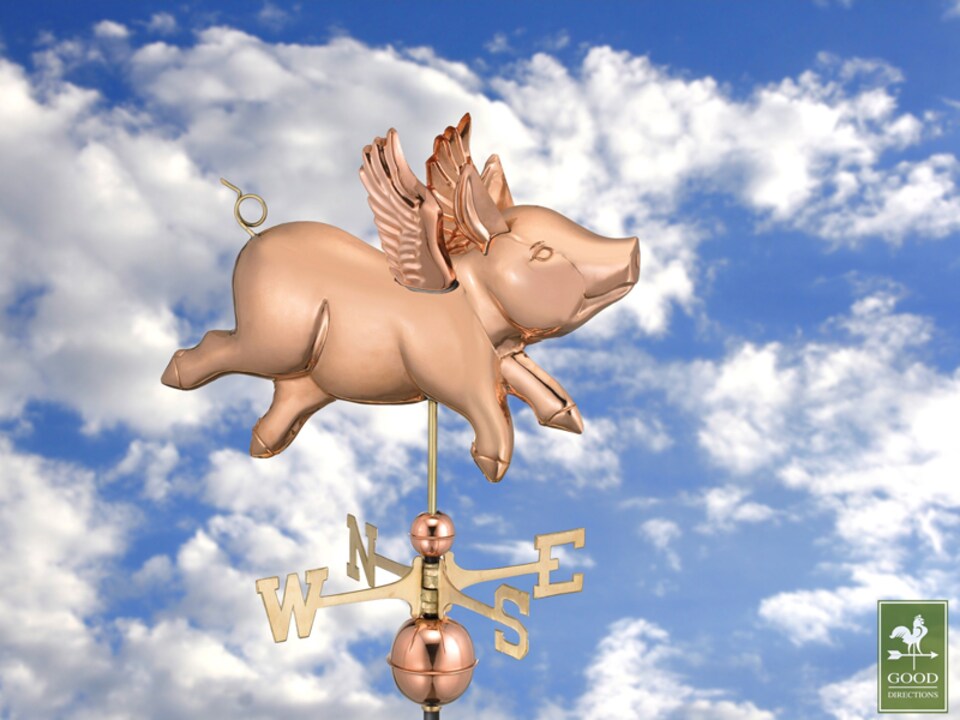 image 1 of Cottage Flying Pig Copper Weathervane - H63 x W54 x L28 cm