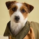 image 5 of Joules Kennington Small Dog Coat
