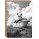 image 1 of Fox in Bathtub in a Field Black White Surreal Birthday Greeting Card