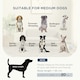 image 3 of PawHut Dog Sofa Bed with Legs, Water-Resistant Fabric for Medium Dogs - Grey