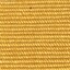 Col 0320