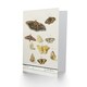 image 2 of Anselmus de Boodt Art Card Butterflies and Moths Study