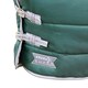 image 2 of StormX Empra Combi Combo Neck 300g Horse Stable Rug - Green - 5´ 6"