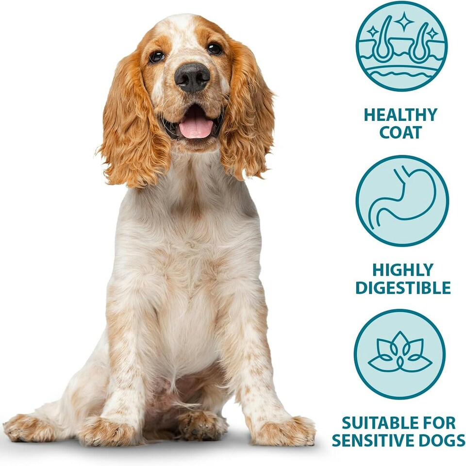 image 1 of Burns Pet Nutrition Complete Dry Hypoallergenic Dog Food For Sensitive Dogs, Turkey and Potato 6kg