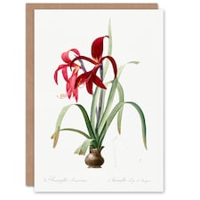 Pierre-Joseph Redouté Art Card Aztec Lily Vintage Botanical