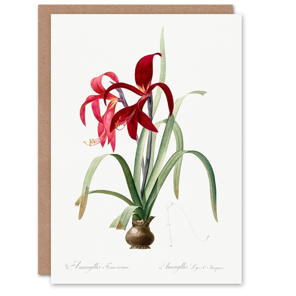 image 1 of Pierre-Joseph Redouté Art Card Aztec Lily Vintage Botanical