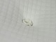 image 6 of Silentnight Pocket Ortho Mattress - Firm Orthopaedic  - 1000 Pocket Springs | White | Double