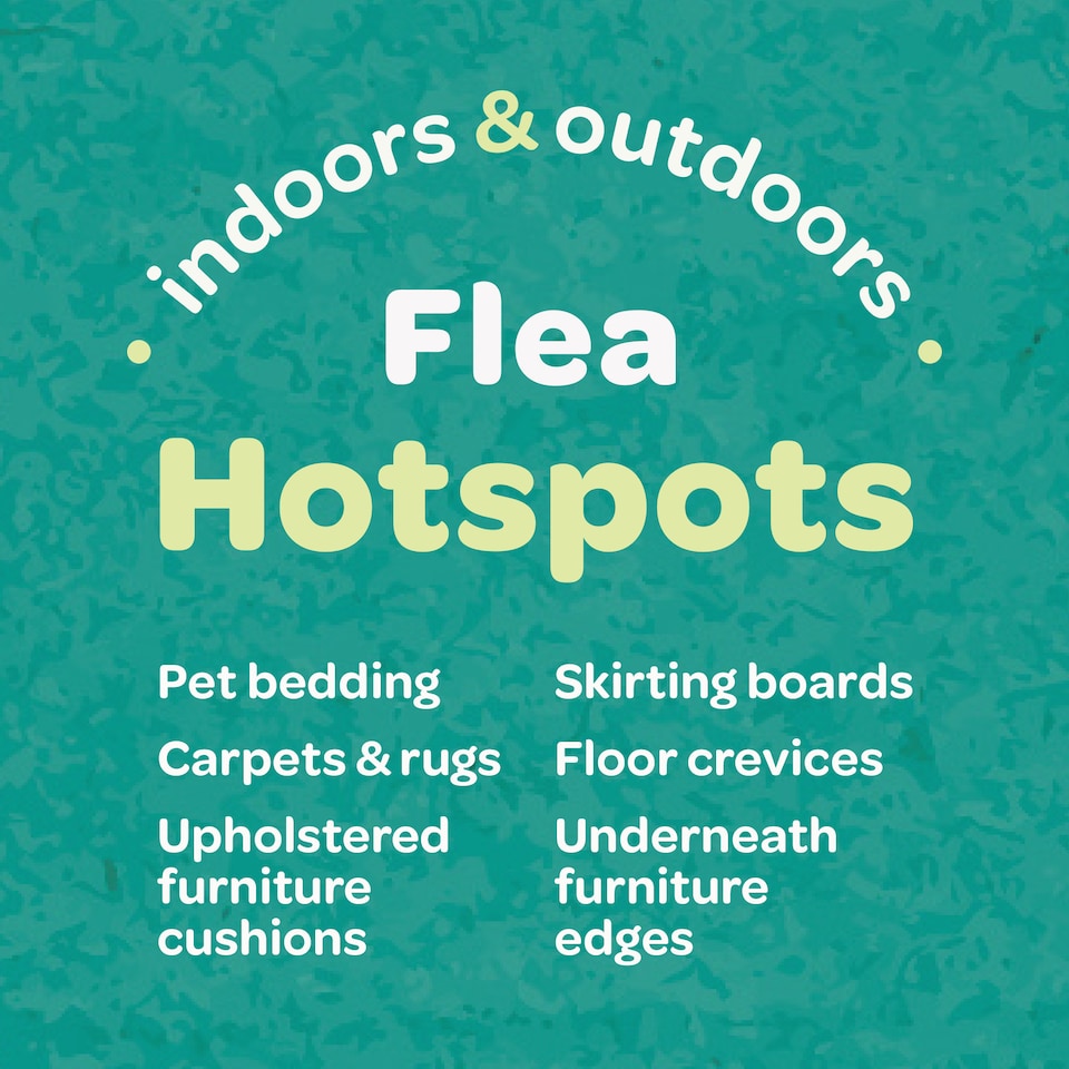 image 1 of Inoscent Flea Spray for the Home (500ml) - For Cat & Dog Bedding, Carpets & Soft Furnishings - Non-Toxic, Pet & Family Safe