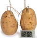 image 3 of Funtime Potato Clock