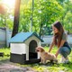 image 2 of PawHut Dog Kennel for Outside Plastic Dog House for XS Dogs, 64.5 x 57 x 66cm