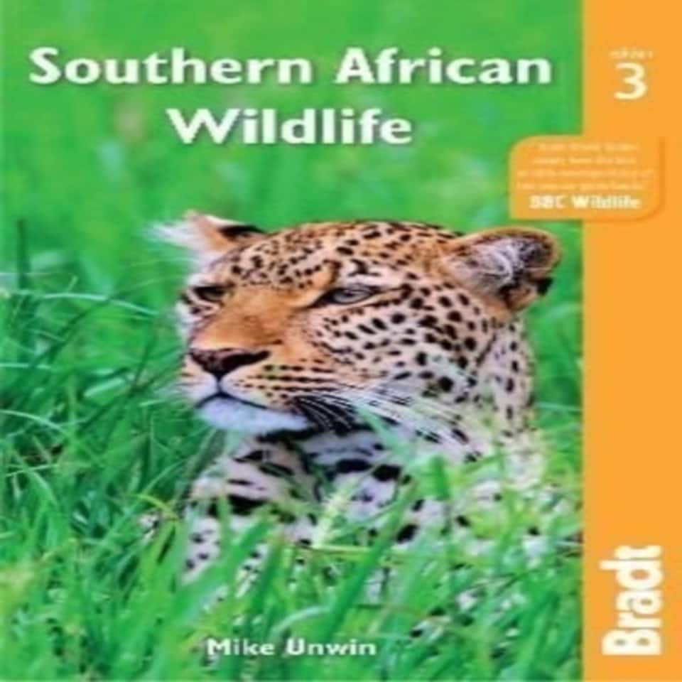 Southern African Wildlife 3