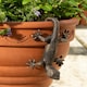 image 1 of Antique Bronze Coloured Gecko Pot Buddy Plant Pot Hanger