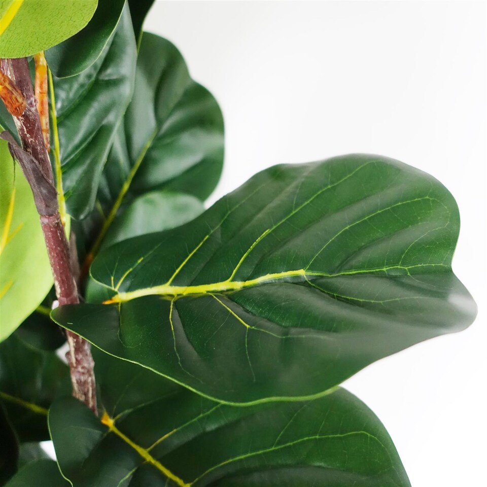 image 1 of 180cm Premium Artificial Fiddle Leaf Fig Tree | Green | 6ft