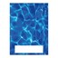 Swimmers