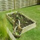 image 4 of Forest Garden Caledonian Wooden Large Raised Bed - 90 x 180cm
