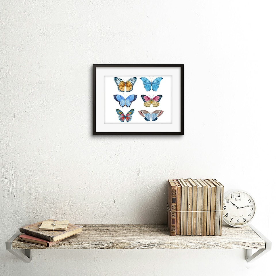 image 1 of Colourful Butterflies Insect Study Watercolour 9x7" Black Framed Wall Art Print