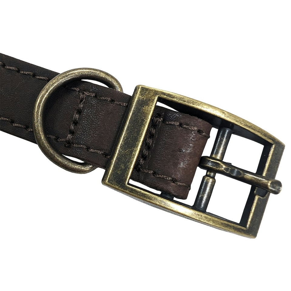 image 1 of HugglePets Legacy Leather Dog Collar - Chocolate Brown | M