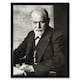 image 1 of Psychoanalyst Neurologist Sigmund Freud Photo 12x16" Framed Wall Art Print