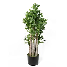 Green Jade Plant 75cm Extra Large Realistic | Green | 2ft