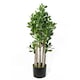 image 1 of Green Jade Plant 75cm Extra Large Realistic | Green | 2ft