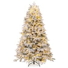 Christmas Trees