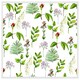 image 1 of Selection of laves & flowers (Picutre Frame) White | S