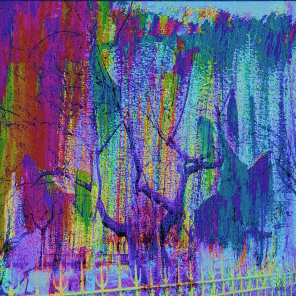 image 1 of Tree Growth (Canvas Print) 44" x 30"