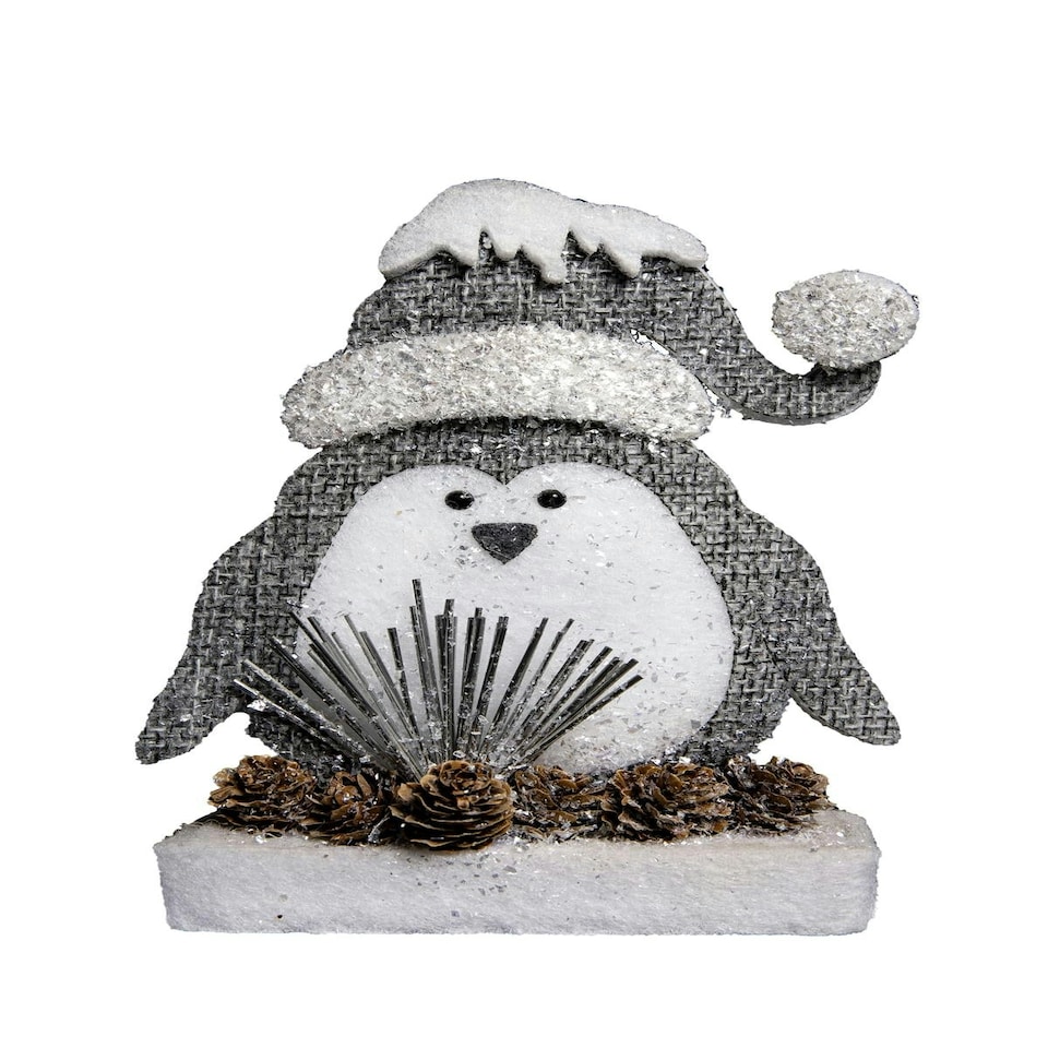image 1 of Foam Penguin On Board