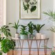 image 8 of Kew Stoneware Sago Palm Bowl White