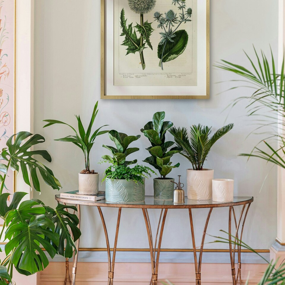 image 1 of Kew Stoneware Sago Palm Bowl White