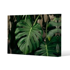 Monstera Leaves in home interior (Canvas Print) 61 x 41 x 4cm