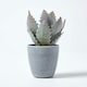 image 7 of Homescapes Purple and Green Aloe Vera Artificial Succulent in Grey Pot, 21 cm Tall