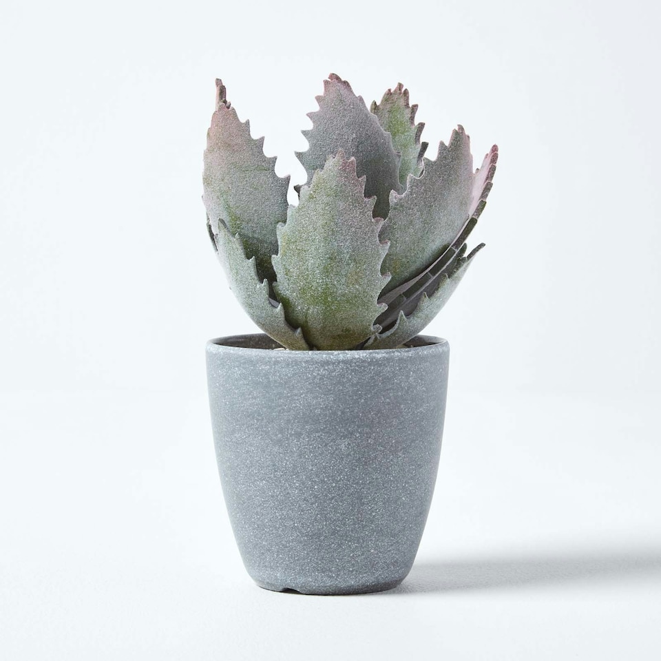 image 1 of Homescapes Purple and Green Aloe Vera Artificial Succulent in Grey Pot, 21 cm Tall