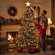 image 9 of 10FT Green Alaskan Pine Christmas Tree | Green | Green