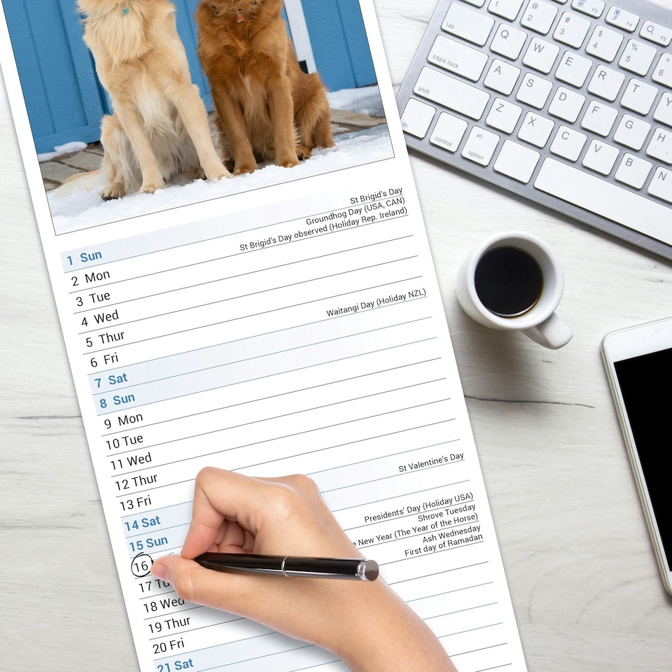 image 1 of Golden Retriever Slim 2026 Calendar | Slimline Wall Calendar | Dog Breed Gift | Plastic Free Packaging |Avonside Publishing Ltd