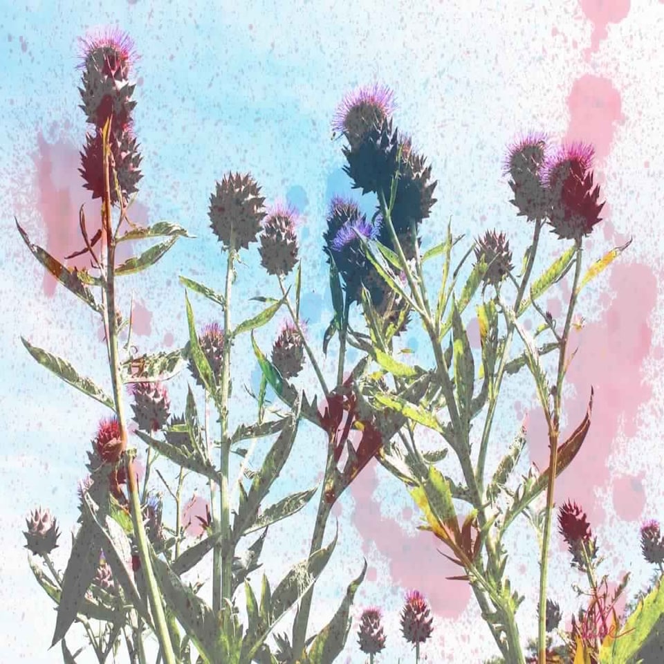 image 1 of Reaching for the sky (Canvas Print) 36" x 24"