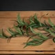 image 3 of Eucalyptus Nicholii Spray Artificial Plant - Plastic - L46 x W46 x H128 cm - Green