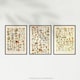 image 5 of Set of 3 Fungus Mushrooms Champignon Vintage Millot Fungi Kitchen Wall Art Print A4