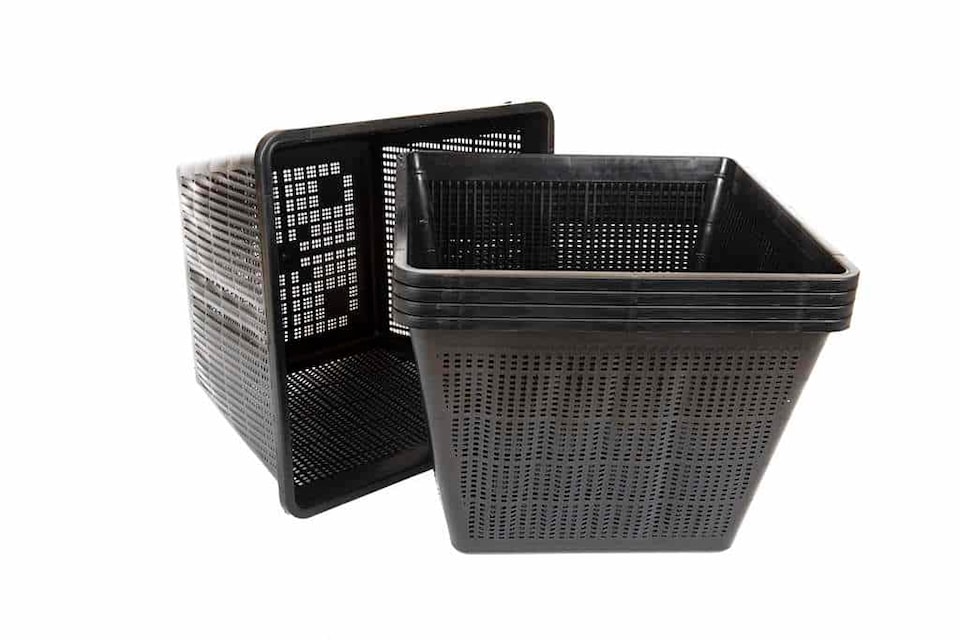 image 1 of Pond Planting Basket - Square - 28cm / 10 Ltr