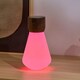 image 5 of Gingko Large Pentagon Desk Bulb Light in Natural Wood N/A | Walnut