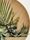 image 3 of Interiors by Premier Mixed Succulents In Wood Wall Planter, Faux Succulents In Round Wooden Frame, Farmhouse Wall Art | Cream