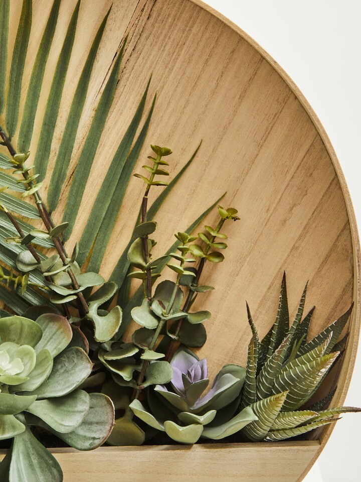 image 1 of Interiors by Premier Mixed Succulents In Wood Wall Planter, Faux Succulents In Round Wooden Frame, Farmhouse Wall Art | Cream