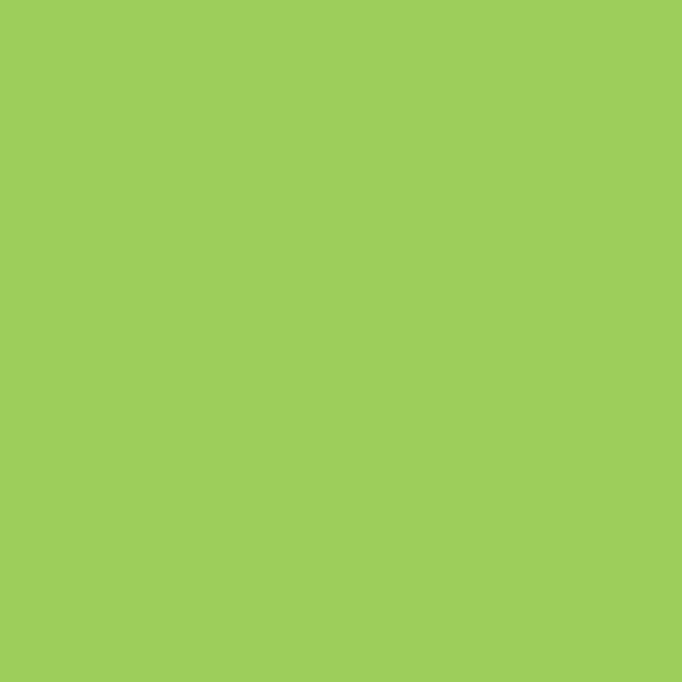 image 1 of Rhino 80 Page 8mm Lined Exercise Book Light Green A4 50 Pack