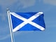 image 6 of Scotland Flag 5x3ft With Eyelets | Yellow