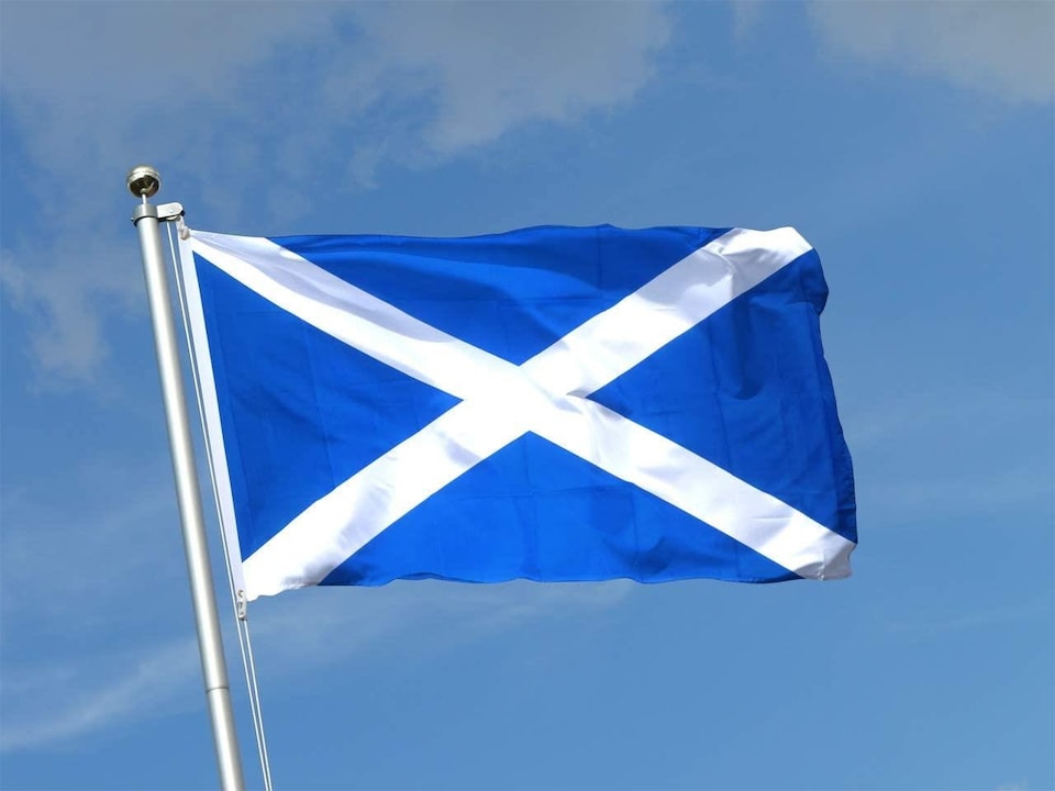 image 1 of Scotland Flag 5x3ft With Eyelets | Yellow
