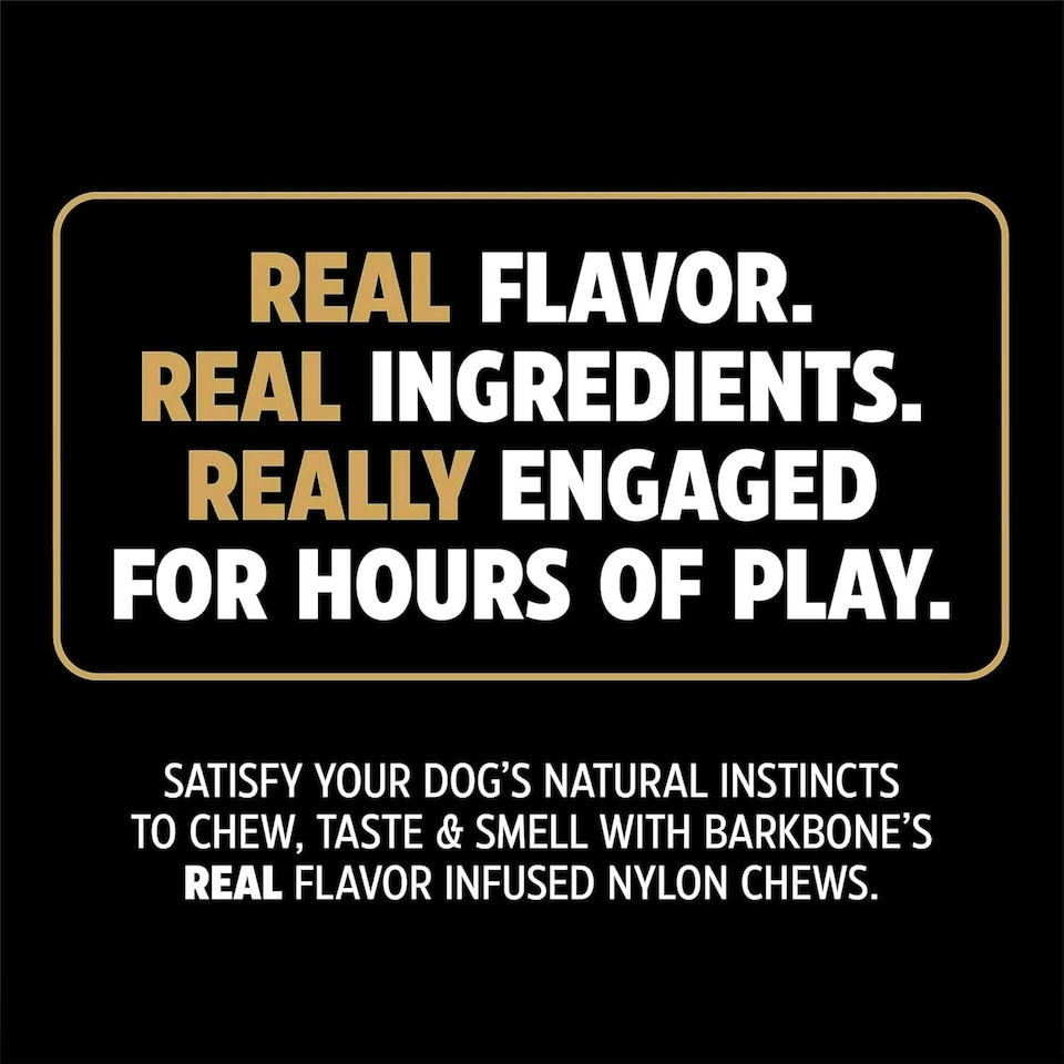 image 1 of Pet Qwerks Original BarkBone - Nylon Dog Bone for Aggressive Chewers - Bacon Flavor - 7.75"