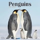 image 1 of Penguins 2026 Calendar | Square Wall Calendar | Animal Gift | Plastic Free Packaging | by Avonside Publishing